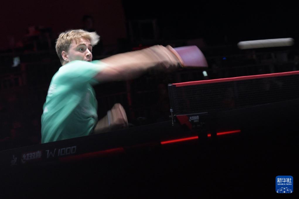 我们不仅感 我们不仅感