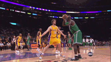 左右球队的 左右球队的